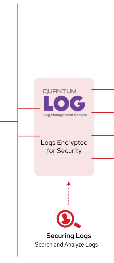 QLog | Quantum Networks